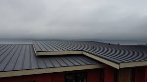 Best Rubber Roofing (EPDM, TPO)  in Mandeville, LA